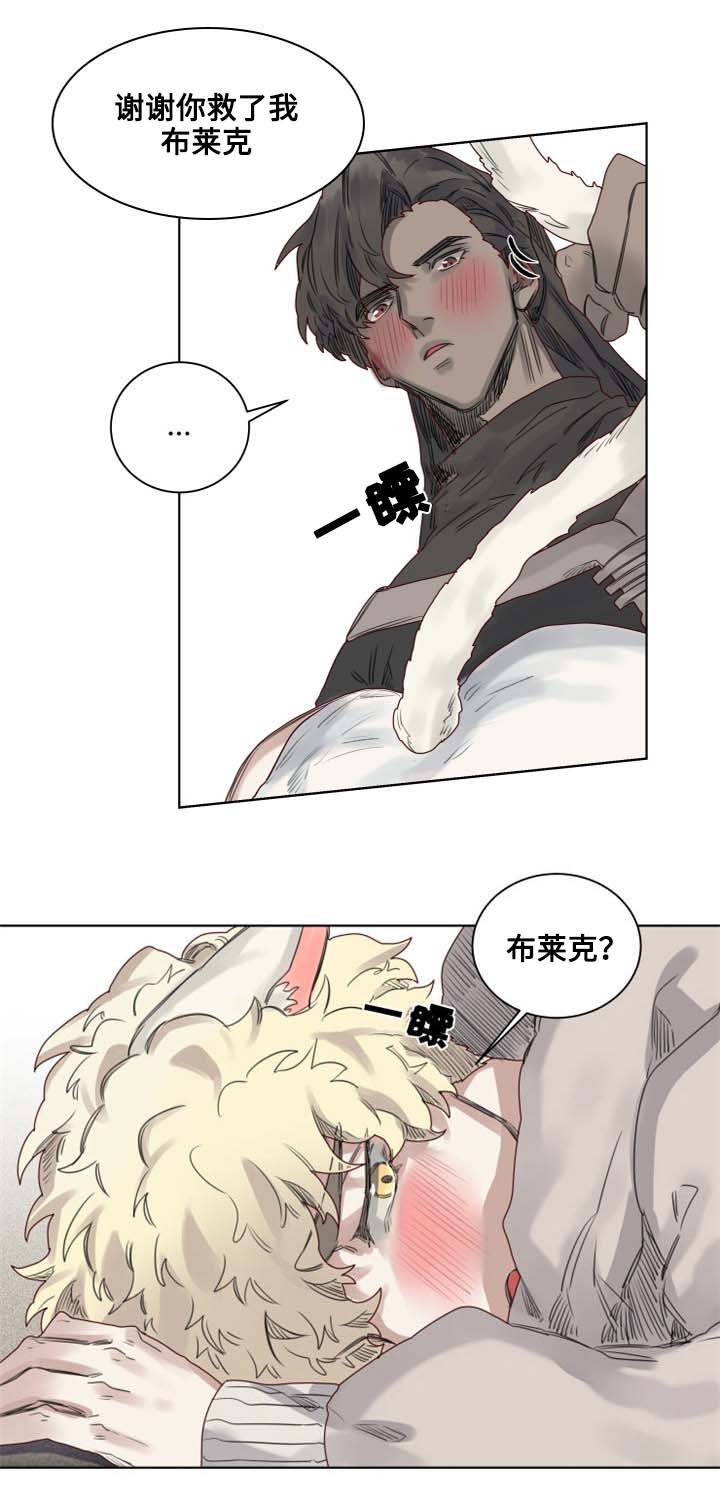 《魔法师皮塔》第10章套装后遗症 第4页