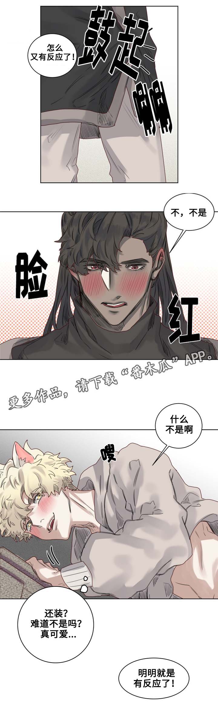 《魔法师皮塔》第10章套装后遗症 第5页