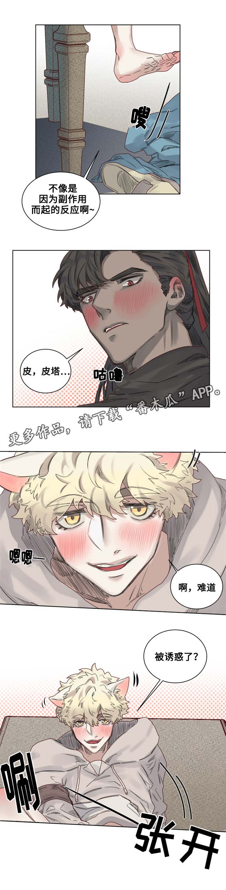 《魔法师皮塔》第10章套装后遗症 第6页