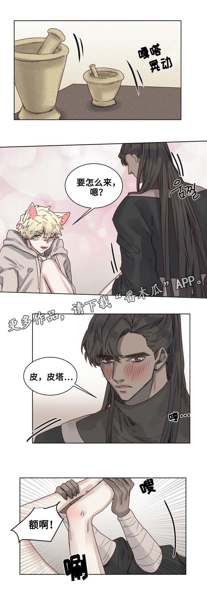 《魔法师皮塔》第10章套装后遗症 第7页