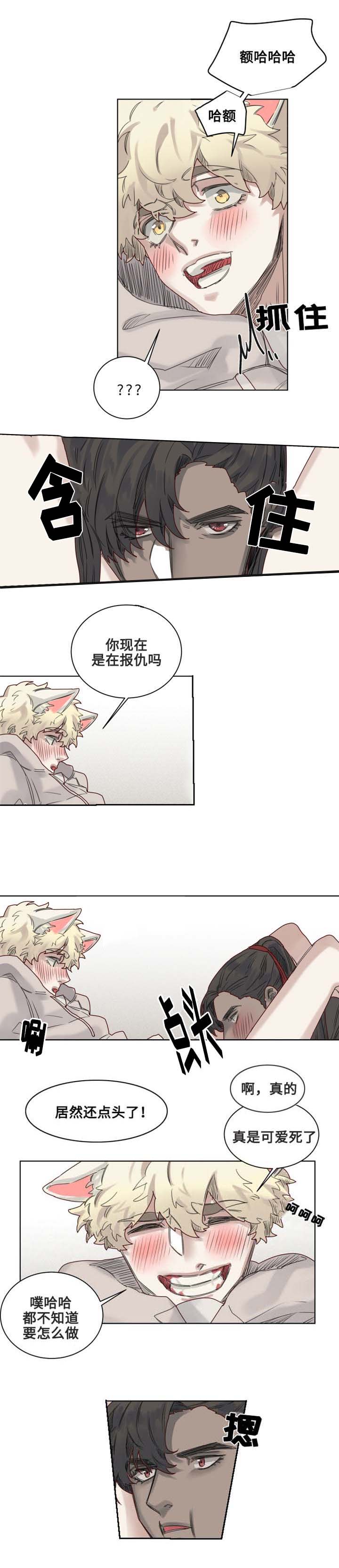 《魔法师皮塔》第10章套装后遗症 第9页