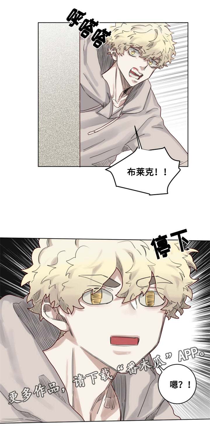 《魔法师皮塔》第15章国立图书馆 第9页