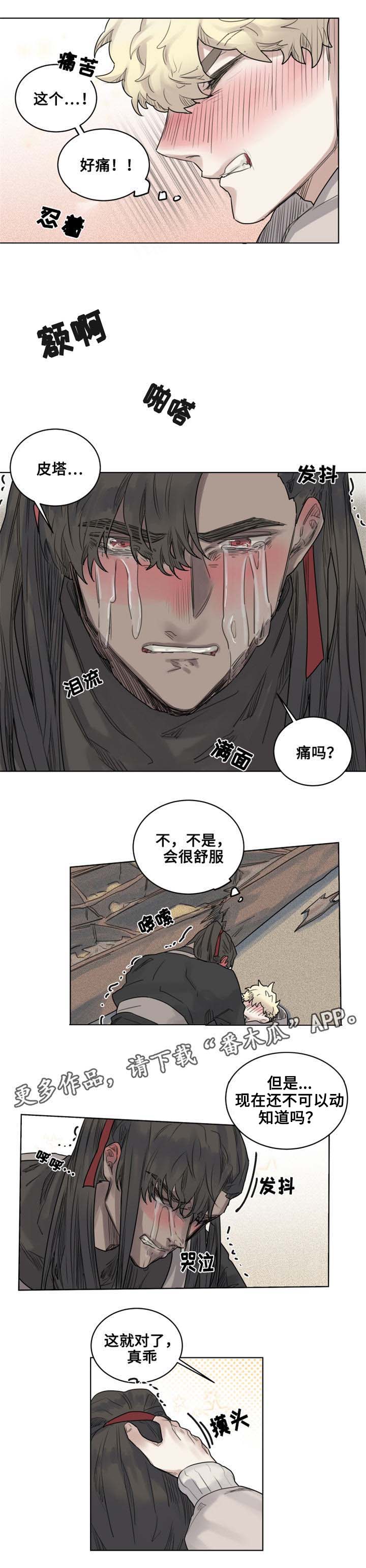 《魔法师皮塔》第14章可怕的副作用 第3页