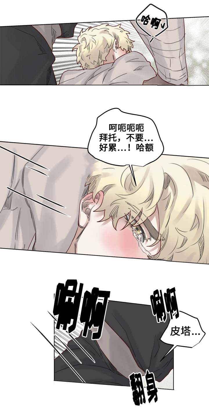 《魔法师皮塔》第14章可怕的副作用 第6页