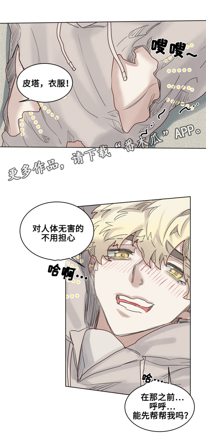 《魔法师皮塔》第19章失控的玩具 第5页