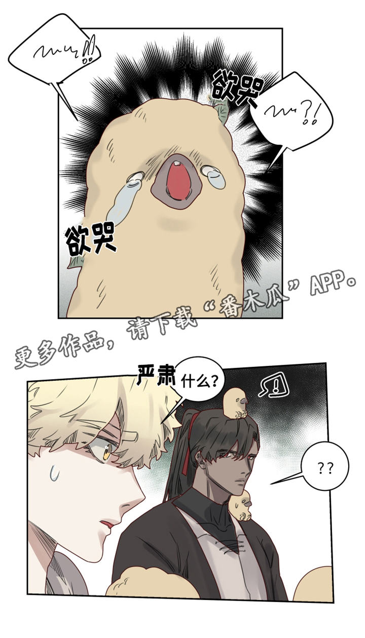 《魔法师皮塔》第20章观察者 第12页