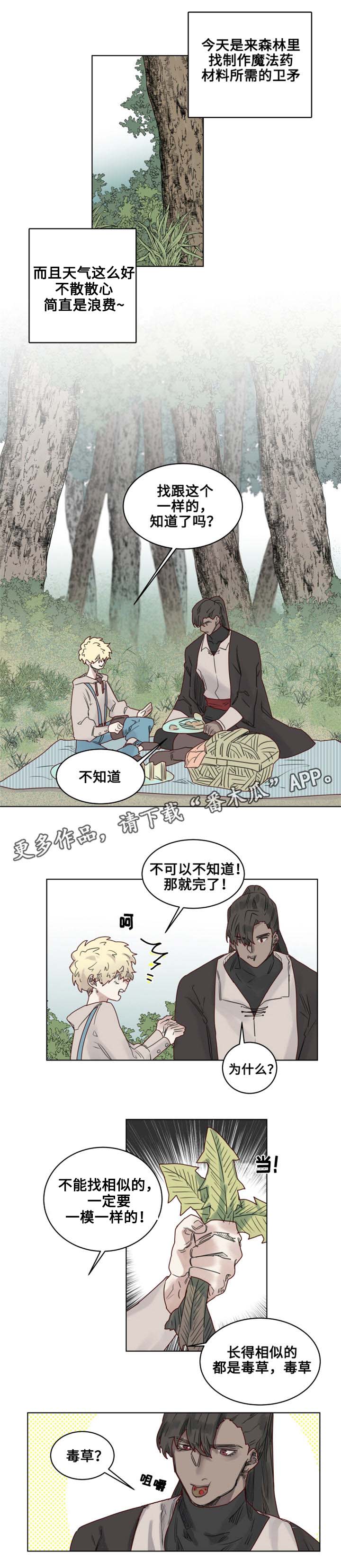 《魔法师皮塔》第20章观察者 第1页