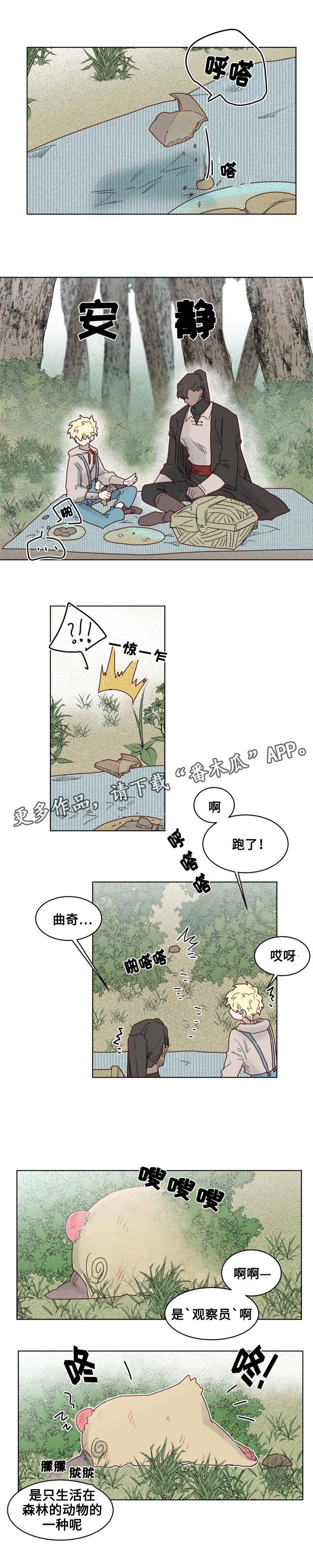 《魔法师皮塔》第20章观察者 第3页
