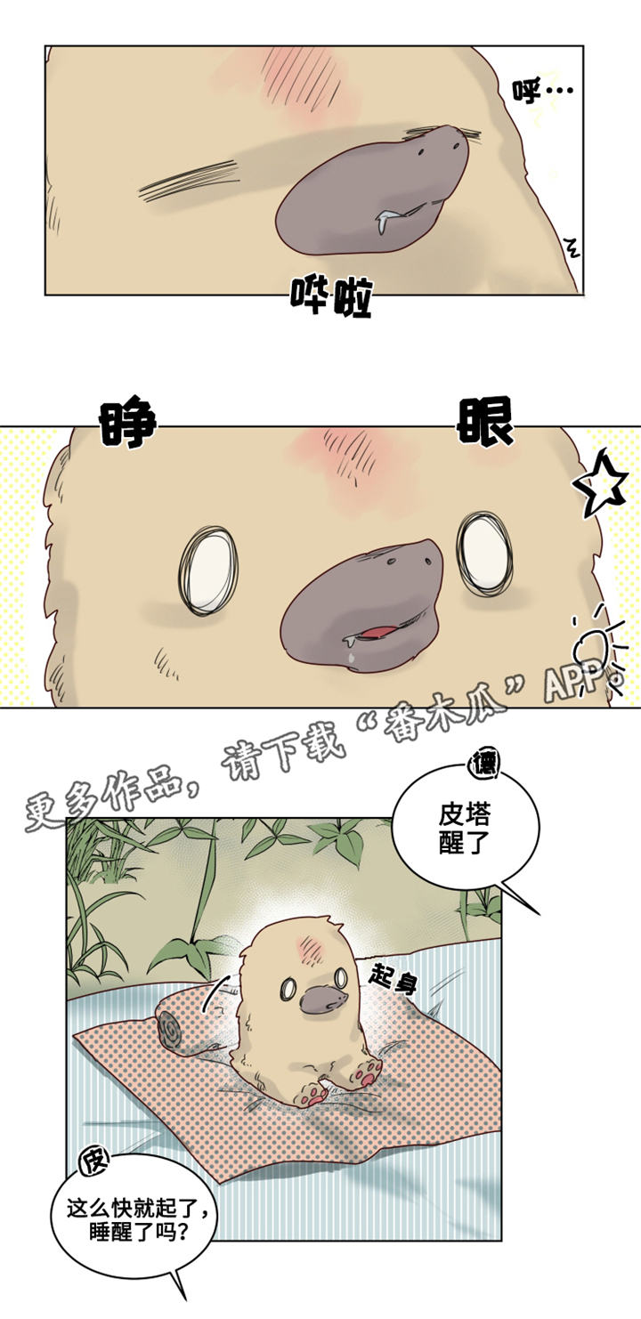 《魔法师皮塔》第20章观察者 第4页
