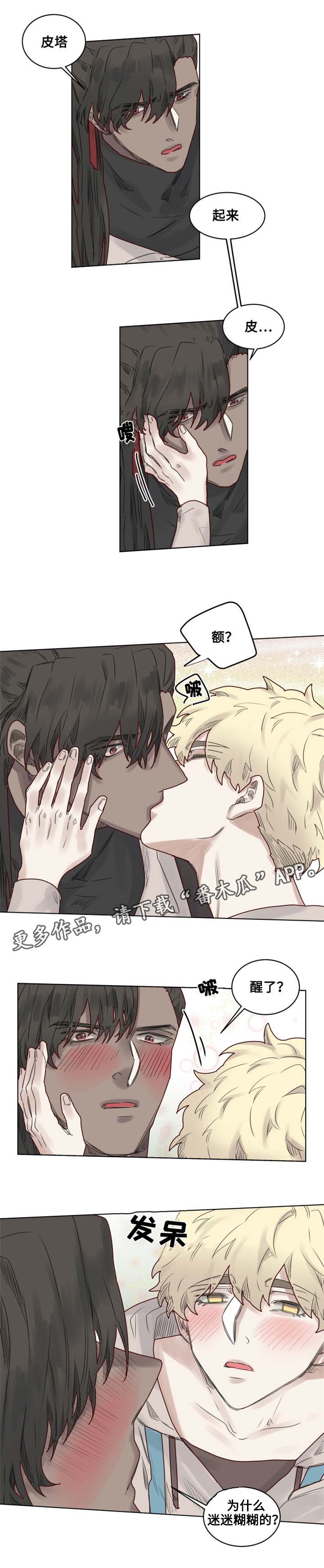 《魔法师皮塔》第21章陌生的毒花 第10页