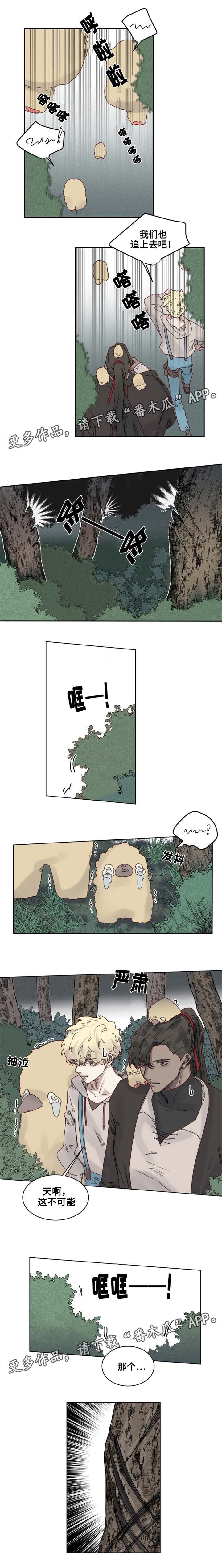 《魔法师皮塔》第21章陌生的毒花 第1页