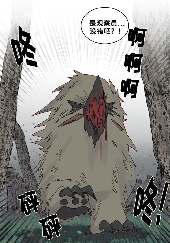 《魔法师皮塔》第21章陌生的毒花 第2页