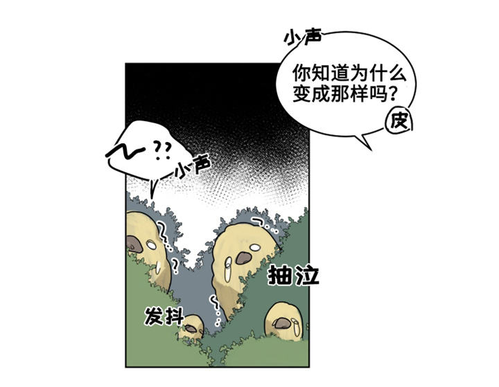 《魔法师皮塔》第21章陌生的毒花 第3页