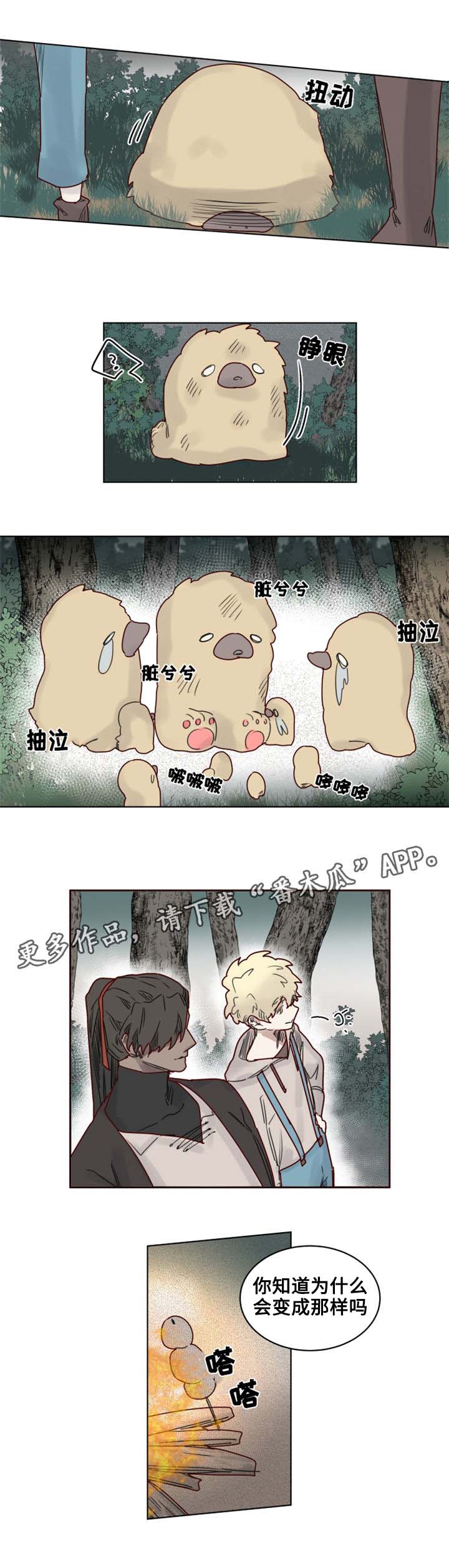 《魔法师皮塔》第21章陌生的毒花 第6页