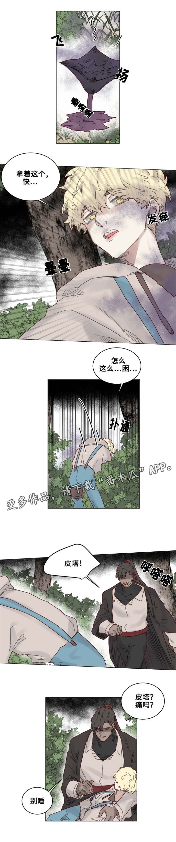 《魔法师皮塔》第21章陌生的毒花 第9页