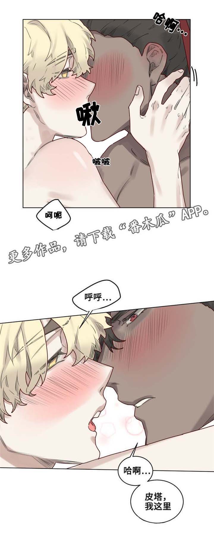 《魔法师皮塔》第22章特殊的解毒 第7页