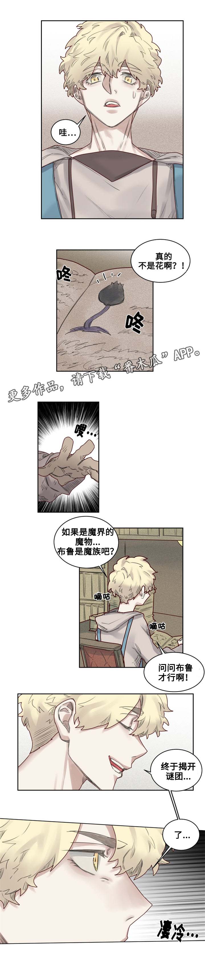 《魔法师皮塔》第24章危机四伏 第10页