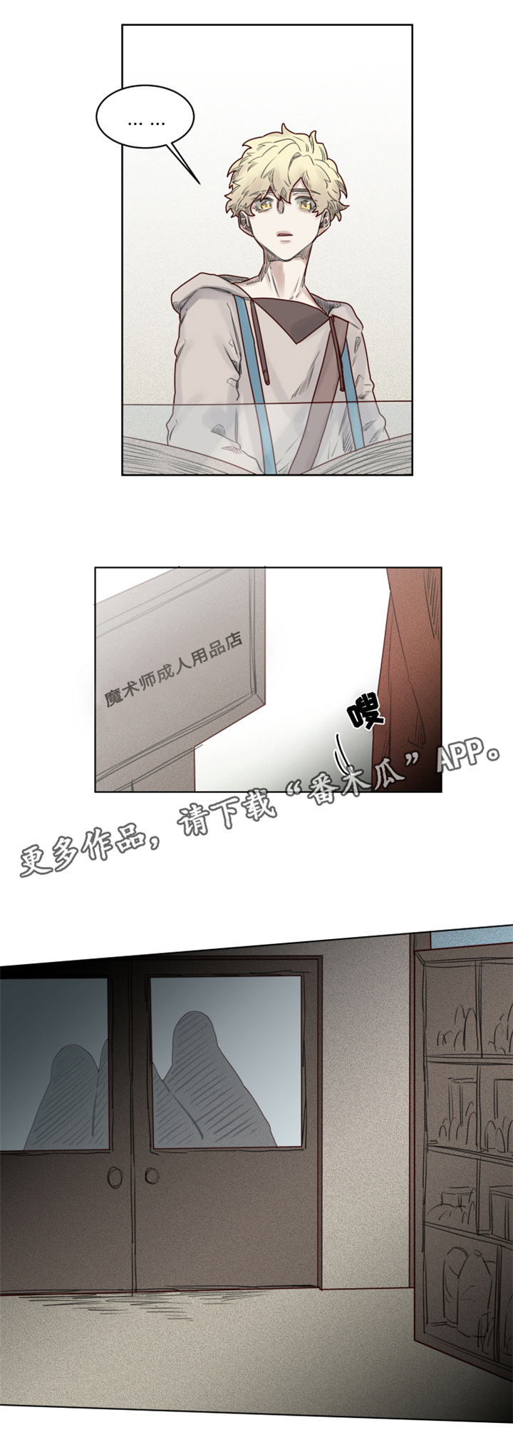 《魔法师皮塔》第24章危机四伏 第3页