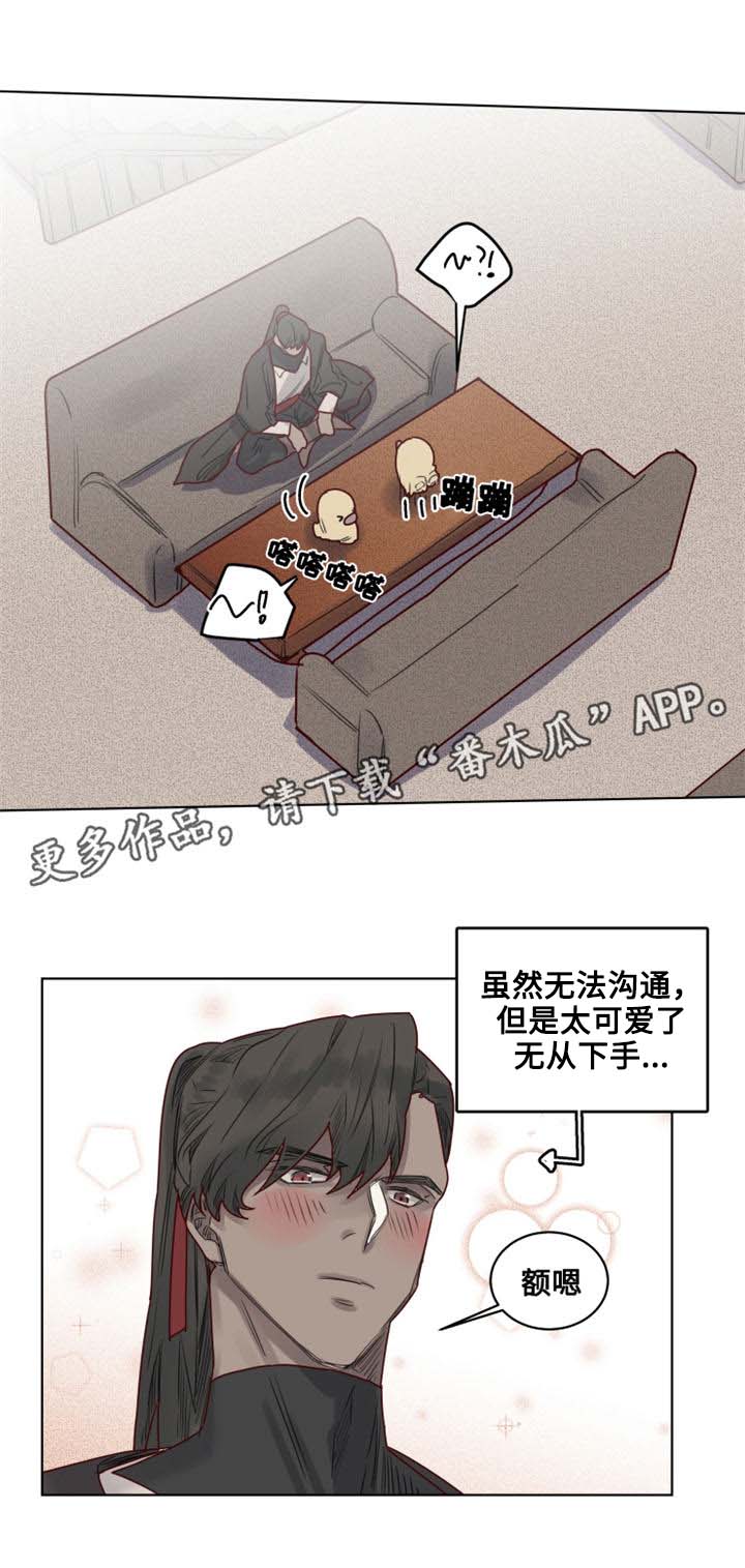 《魔法师皮塔》第24章危机四伏 第4页