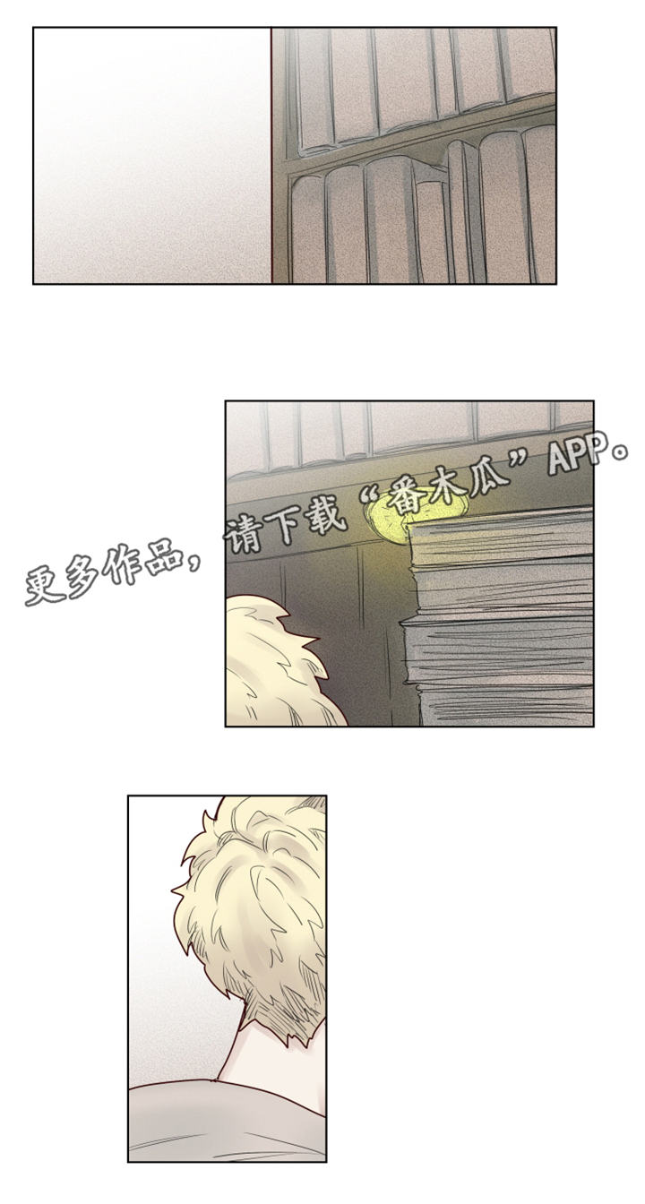 《魔法师皮塔》第24章危机四伏 第8页