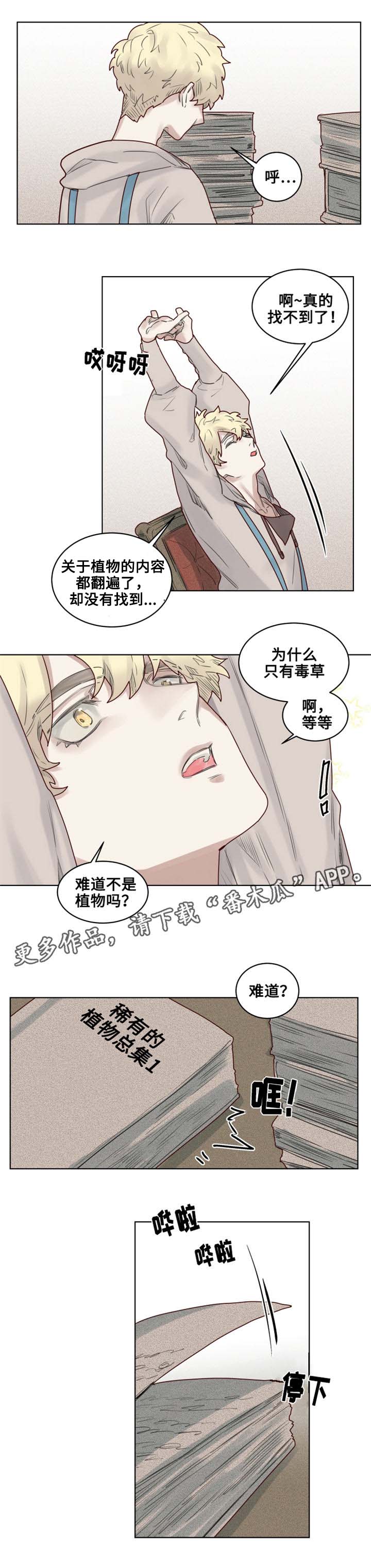 《魔法师皮塔》第24章危机四伏 第9页