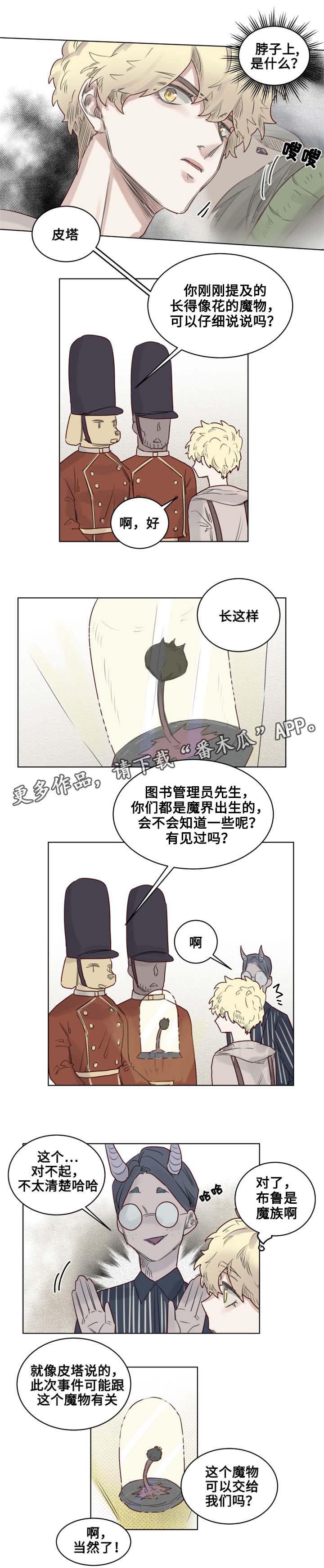 《魔法师皮塔》第26章德米安被绑架 第2页