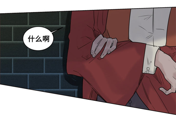 《魔法师皮塔》第26章德米安被绑架 第9页