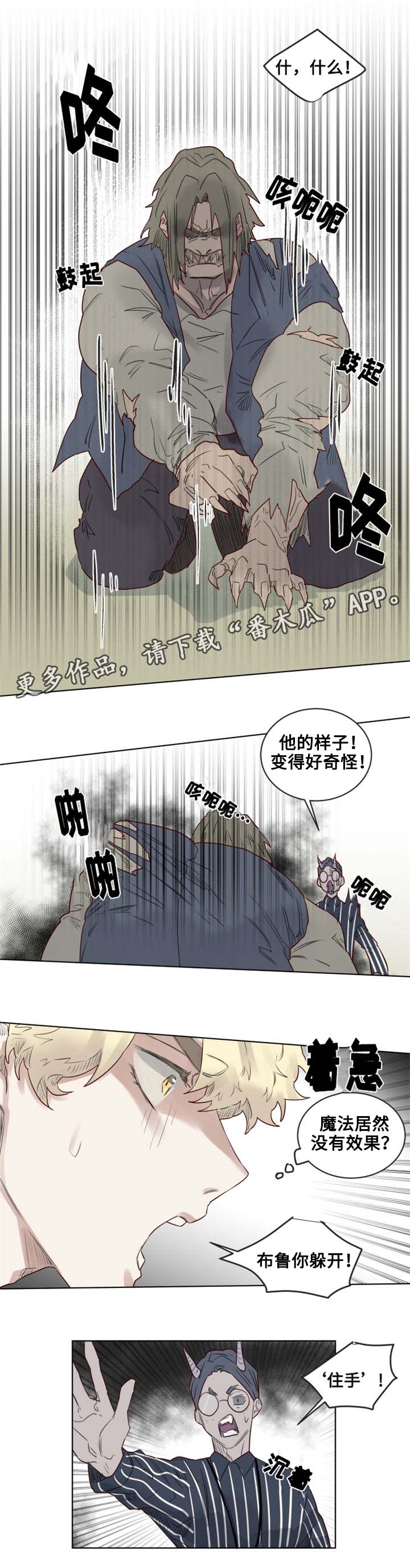 《魔法师皮塔》第25章解除危机 第5页