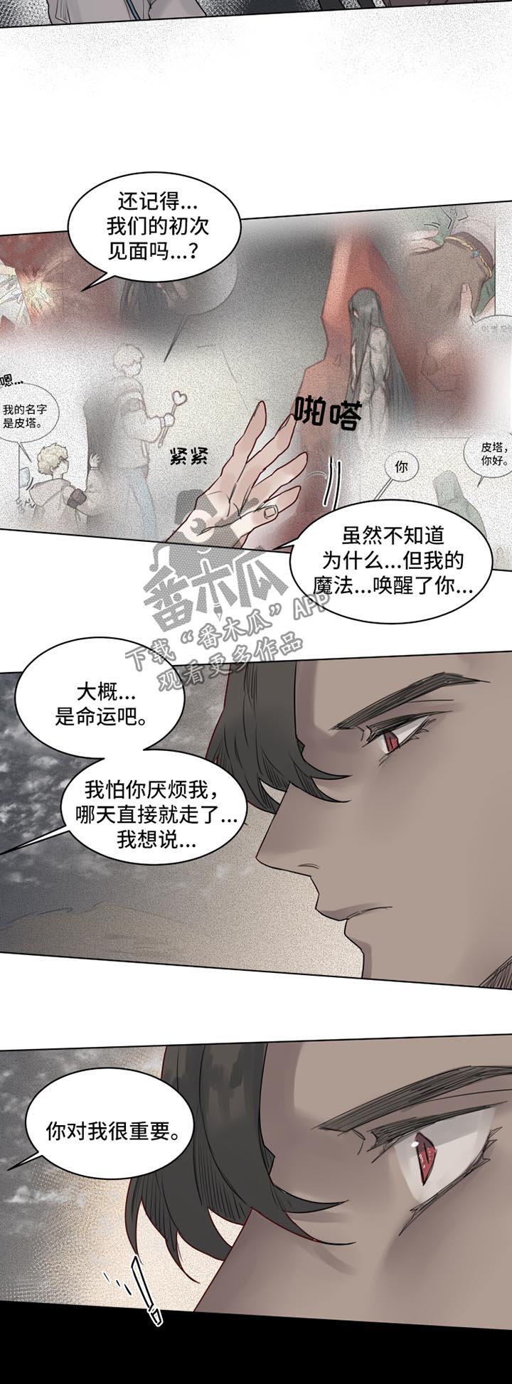 《魔法师皮塔》第29章你对我很重要 第12页