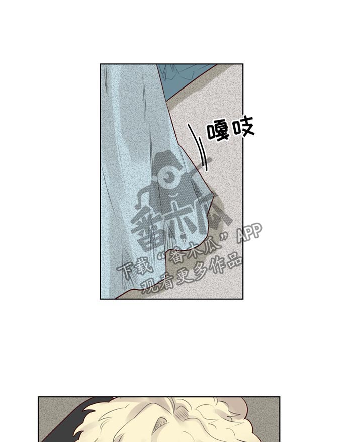 《魔法师皮塔》第30章清醒 第7页