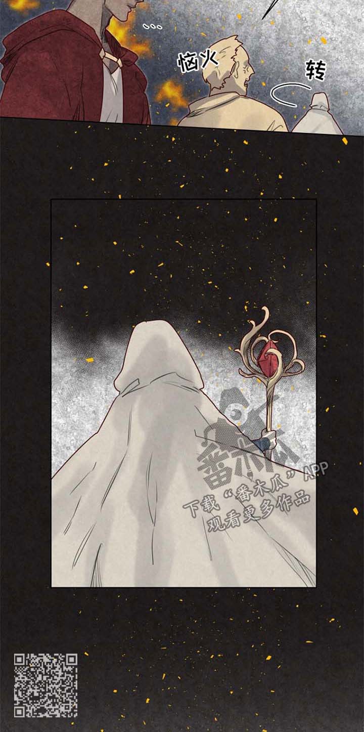 《魔法师皮塔》第31章前世 第10页