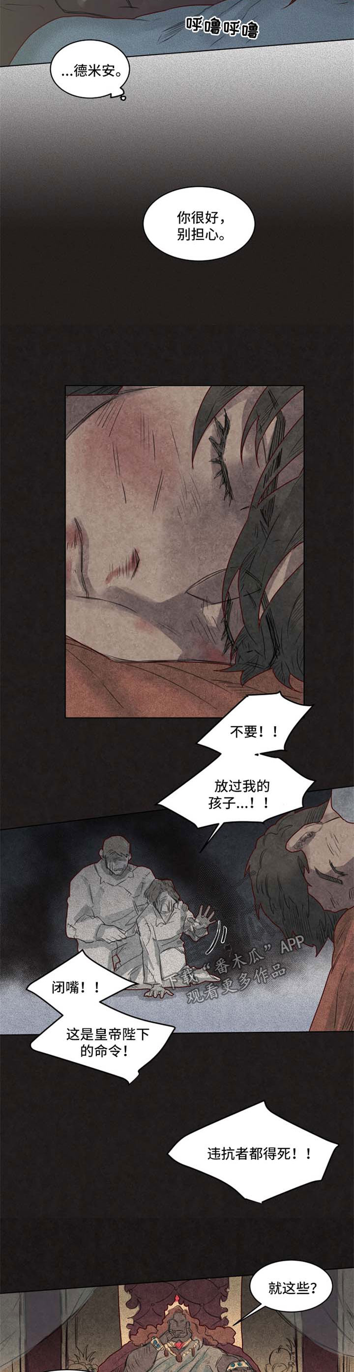 《魔法师皮塔》第31章前世 第6页