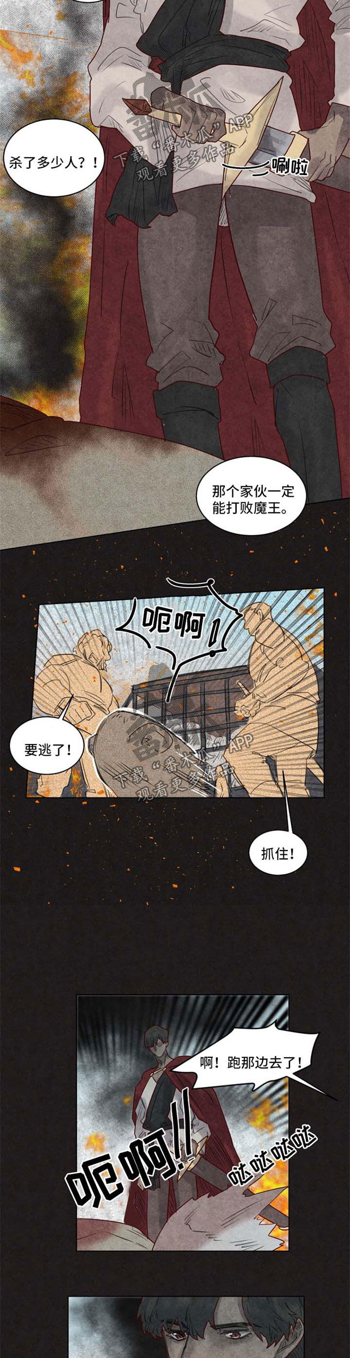 《魔法师皮塔》第31章前世 第8页