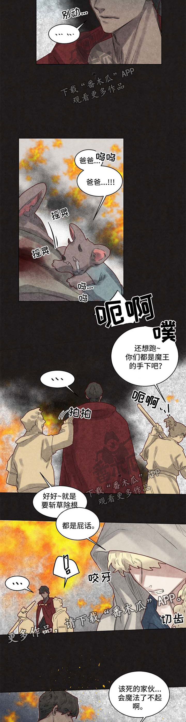 《魔法师皮塔》第31章前世 第9页
