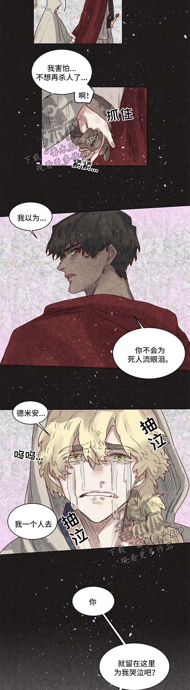 《魔法师皮塔》第32章一定会再见 第3页