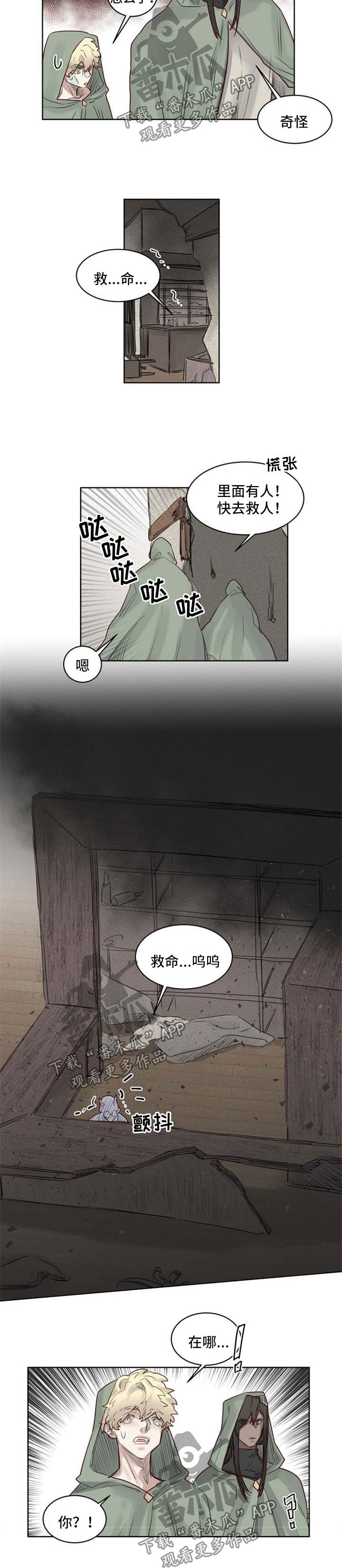《魔法师皮塔》第36章入套 第4页