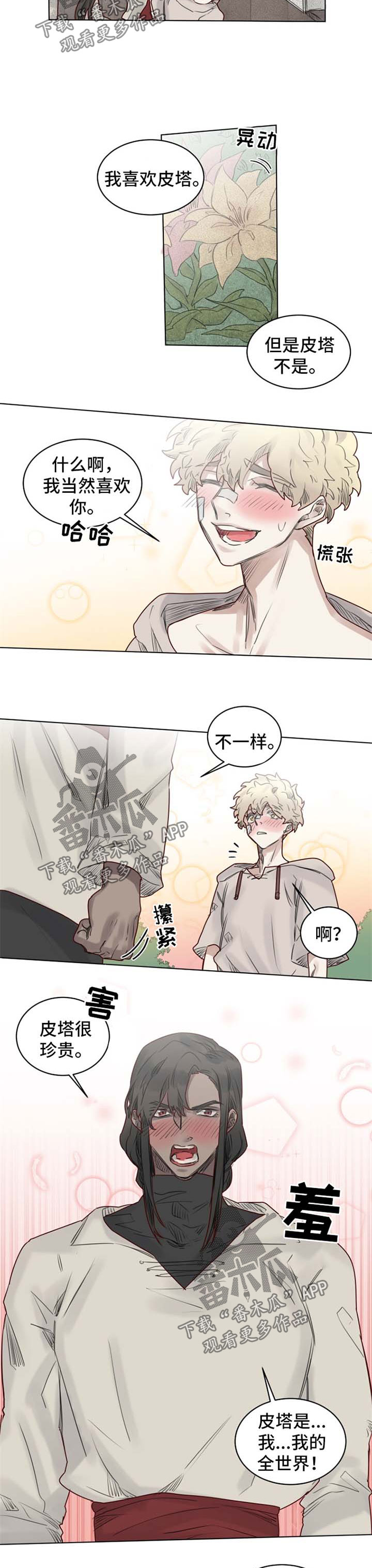 《魔法师皮塔》第34章赞美之词 第6页