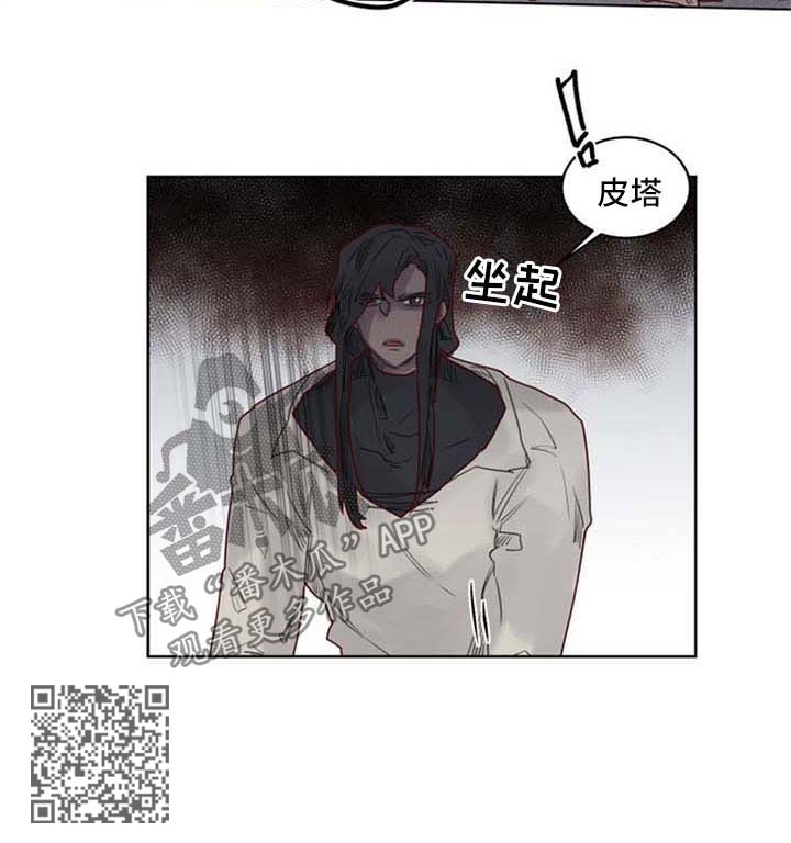 《魔法师皮塔》第37章暗算 第6页
