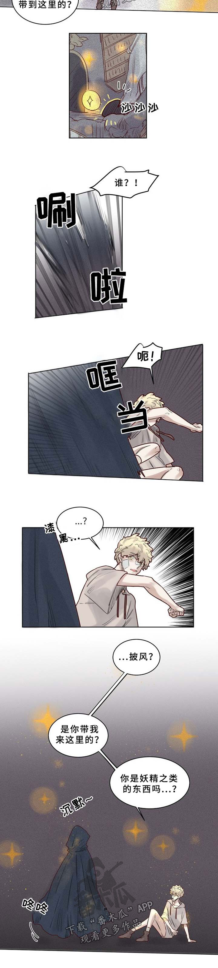 《魔法师皮塔》第41章大魔法师的秘密 第2页