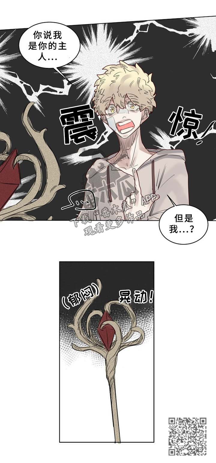 《魔法师皮塔》第41章大魔法师的秘密 第6页