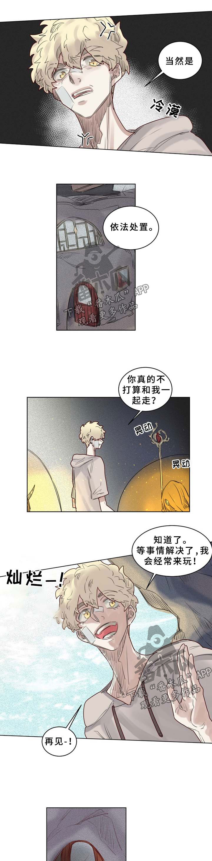 《魔法师皮塔》第42章解封 第7页