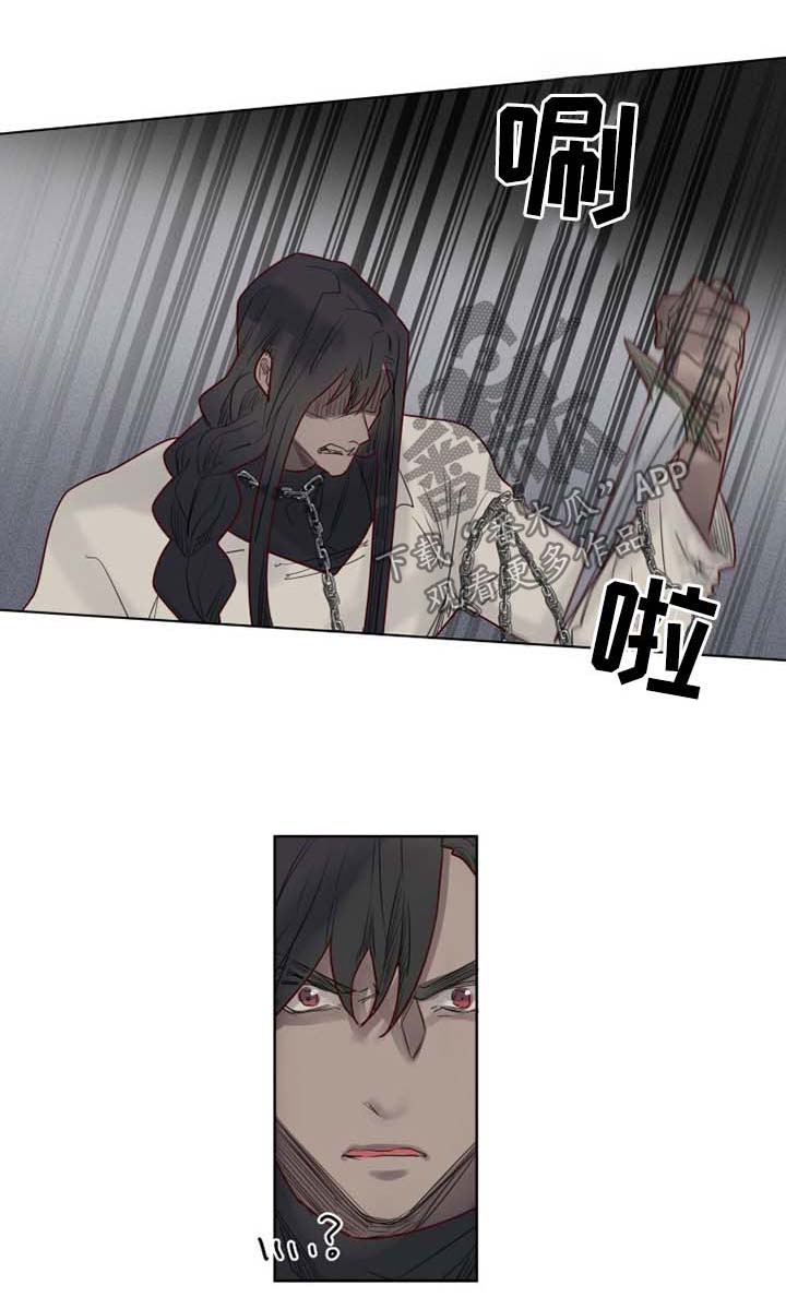 《魔法师皮塔》第40章复仇 第1页
