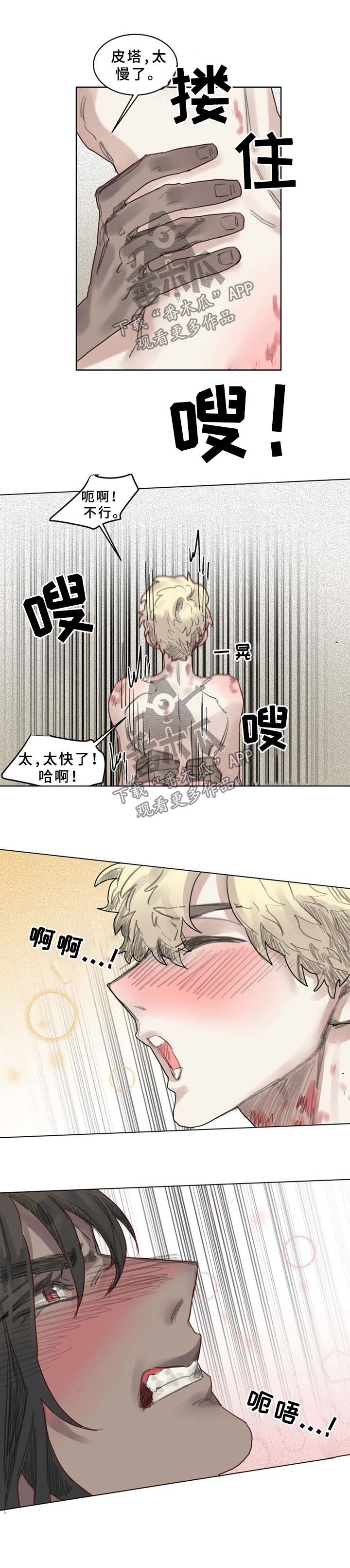 《魔法师皮塔》第45章睡得好吗 第5页