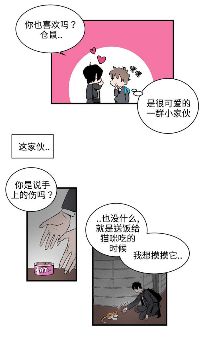 《穿着》第2章喜欢 第2页