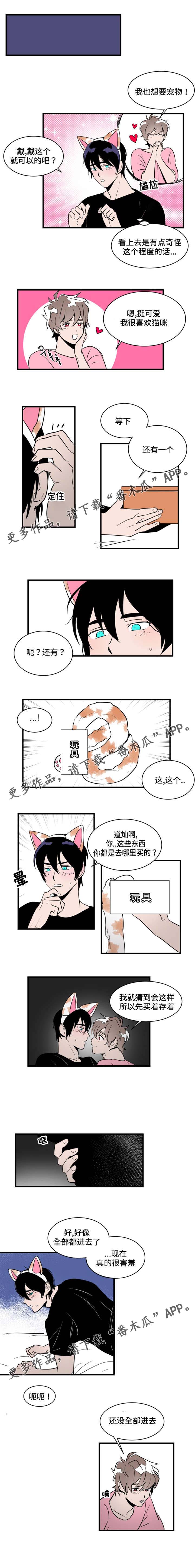 《穿着》第14章玩具 第1页