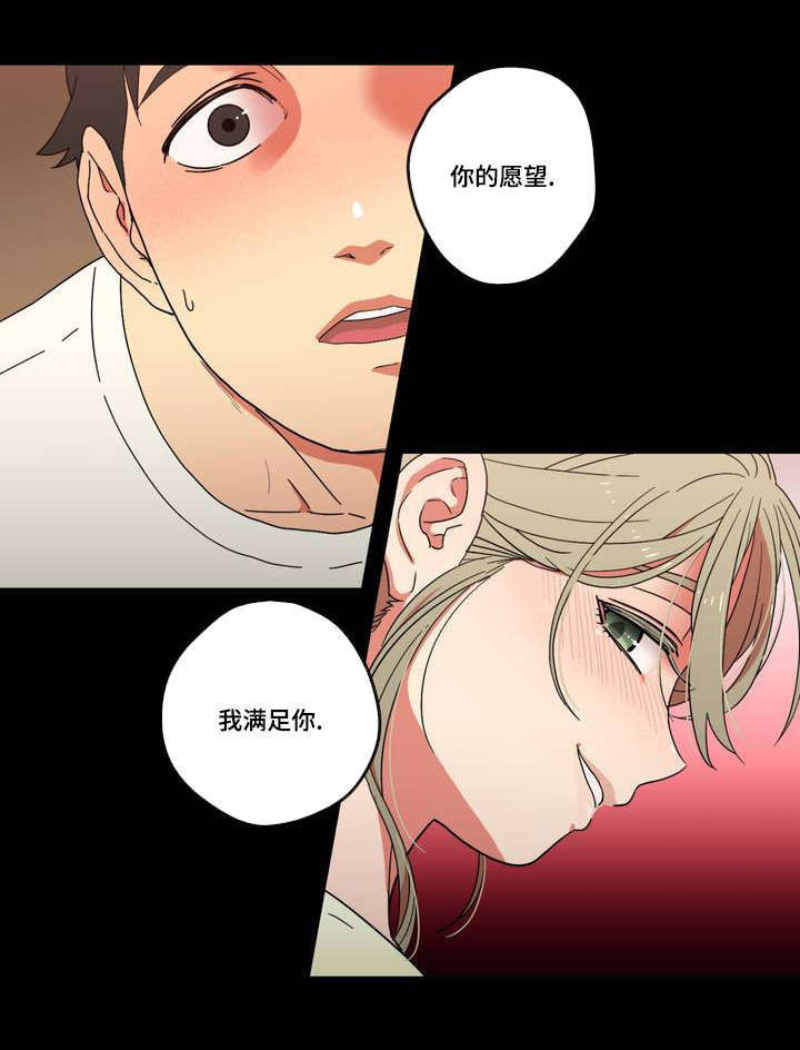 《难以捉摸》第2章愿望 第9页
