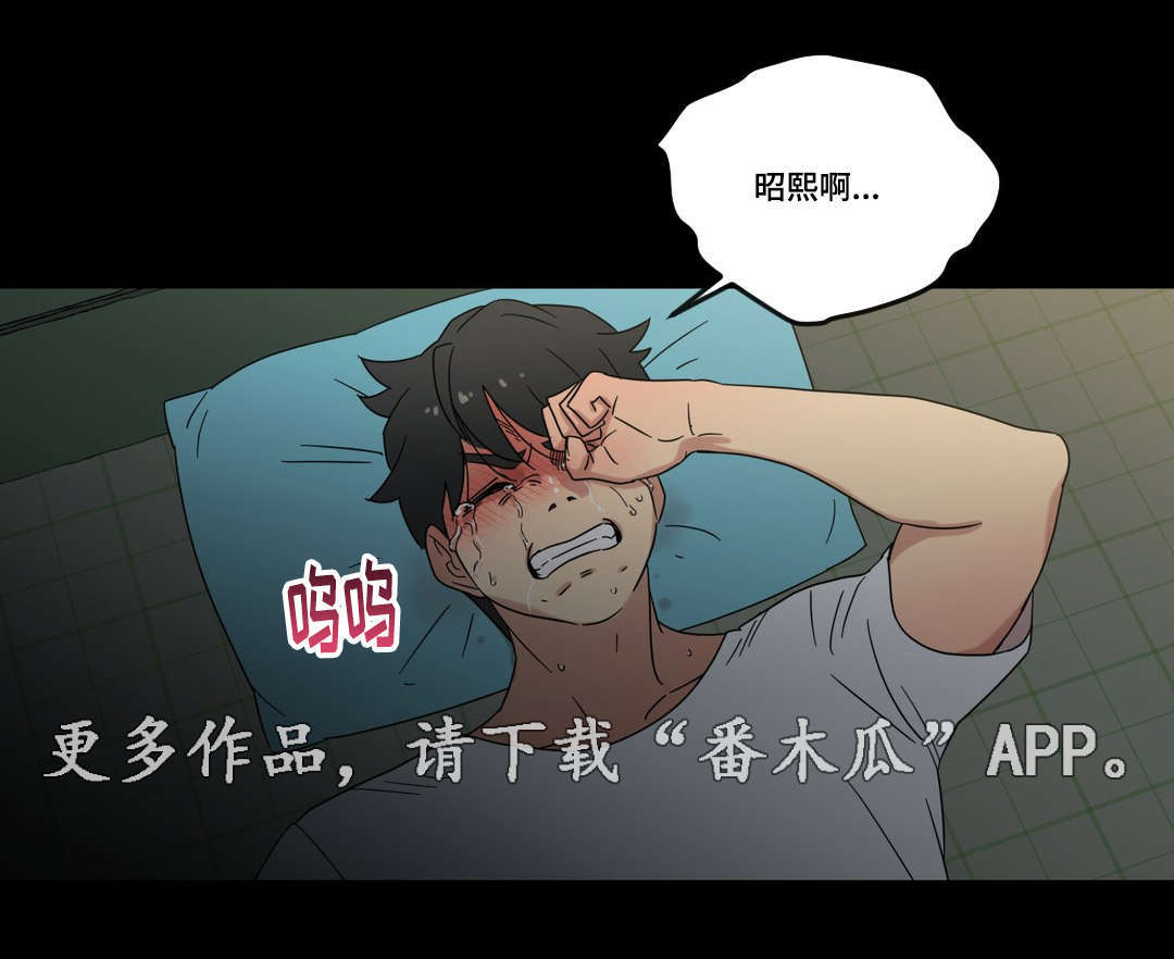 《难以捉摸》第44章梦 第12页