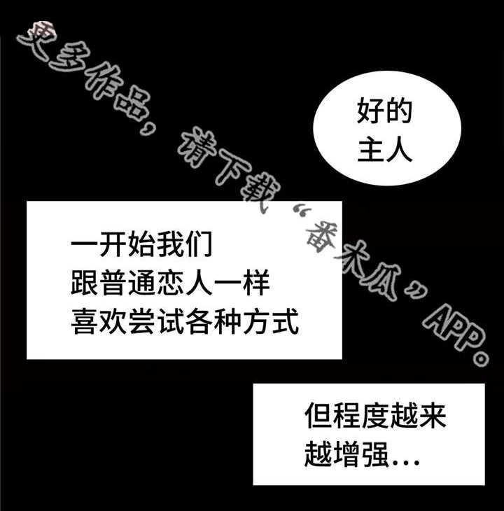 《第一感》第87章付出全部 第12页