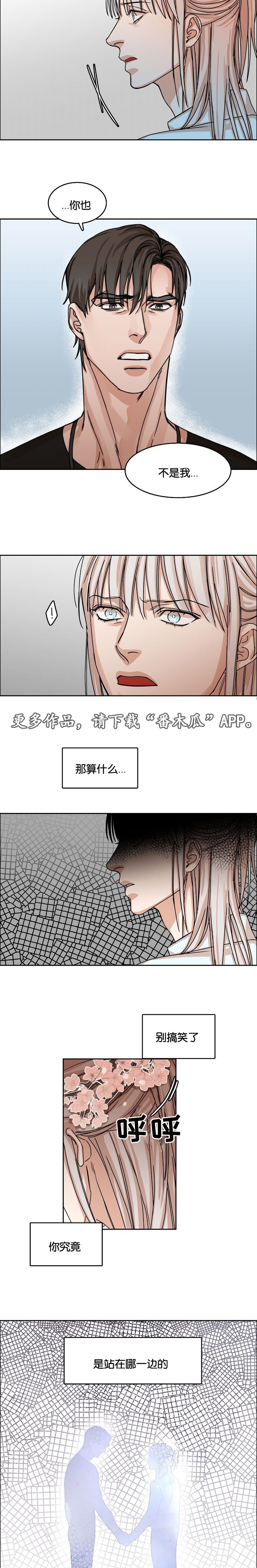 《同流》第33章约定 第11页