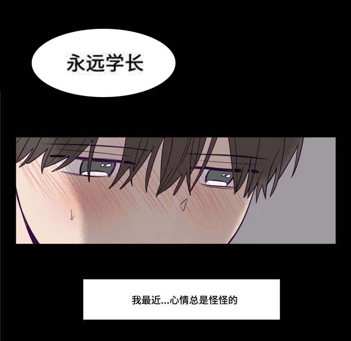 《秘密照片》第17章我行我素 第1页